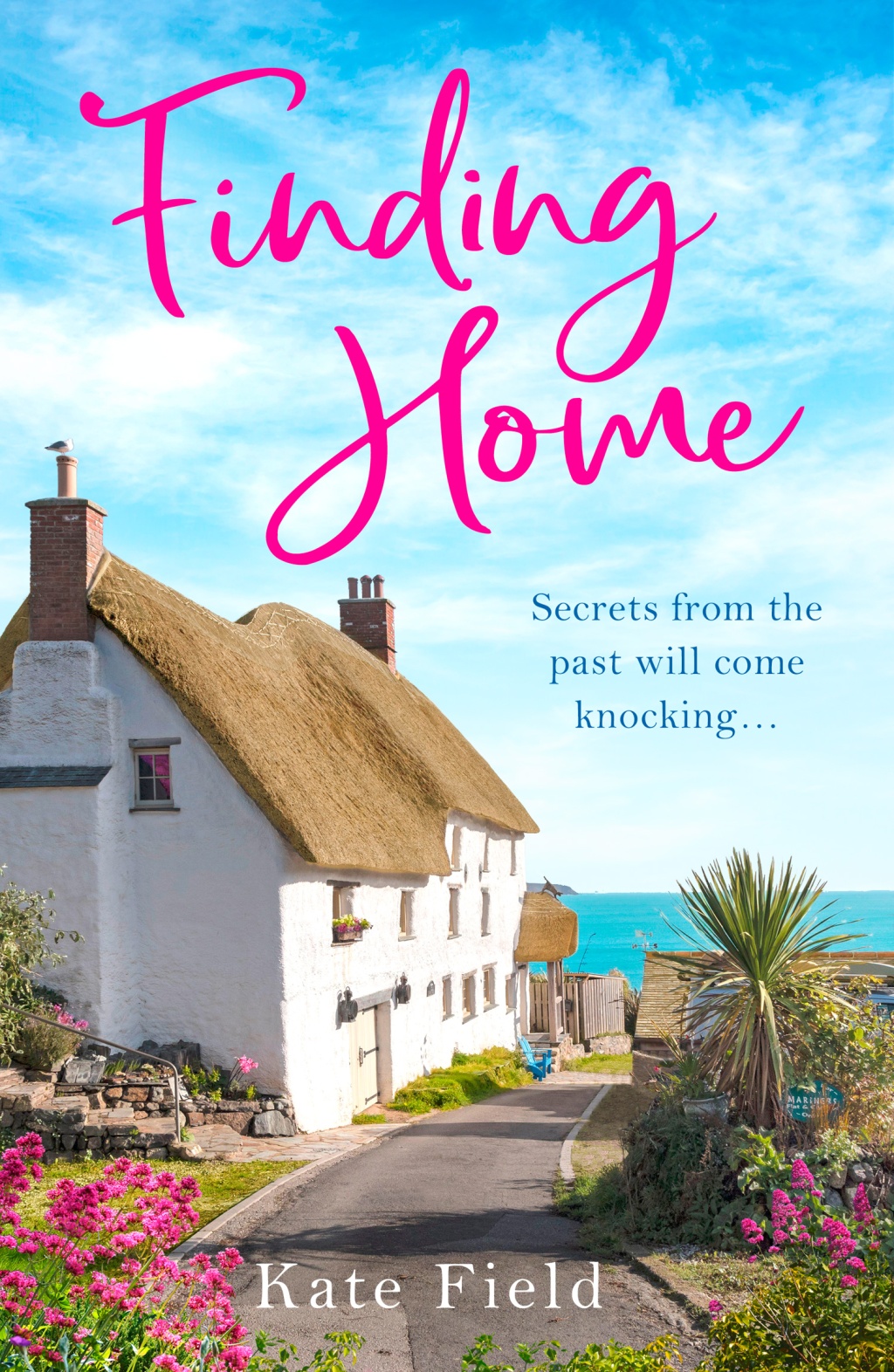 Good to meet you…Kate Field, author of Finding Home